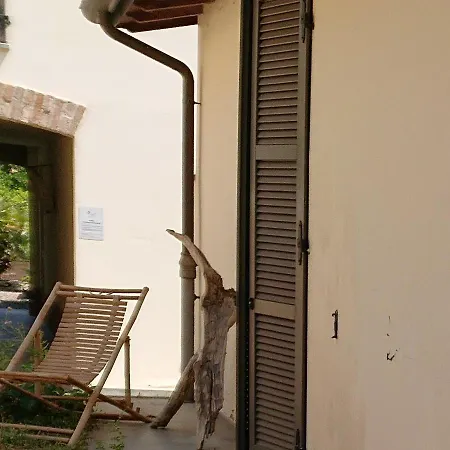 One * Forlì